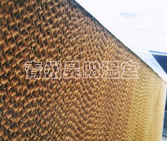 Water curtain