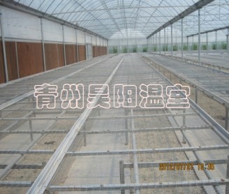 溫室移動(dòng)苗床