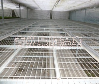 Greenhouse mobile seedbed