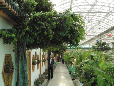 生態(tài)餐廳