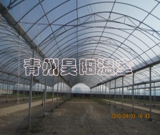 智能連棟膜溫室