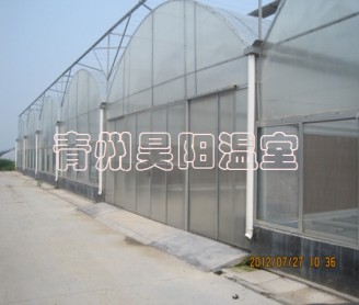 智能連棟膜溫室