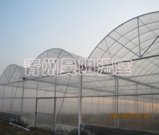 智能連棟膜溫室