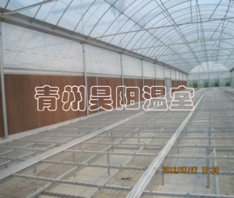 Greenhouse mobile seedbed