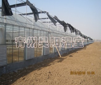 智能連棟膜溫室