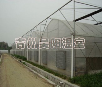 智能連棟膜溫室