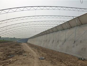 蔬菜大棚建設