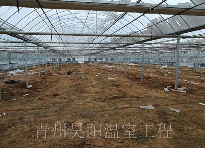 鄒城御康生態(tài)糧倉基地