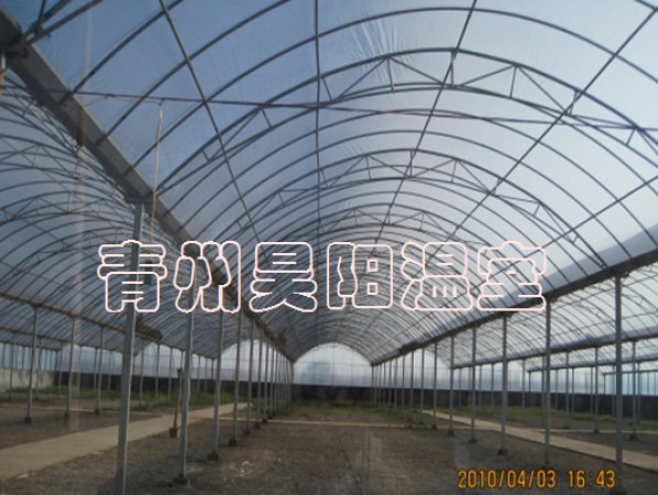 智能連棟膜溫室