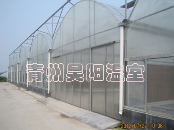 智能連棟膜溫室