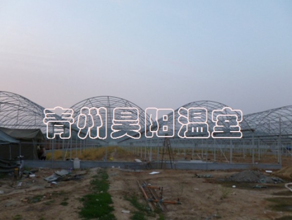 連棟大棚