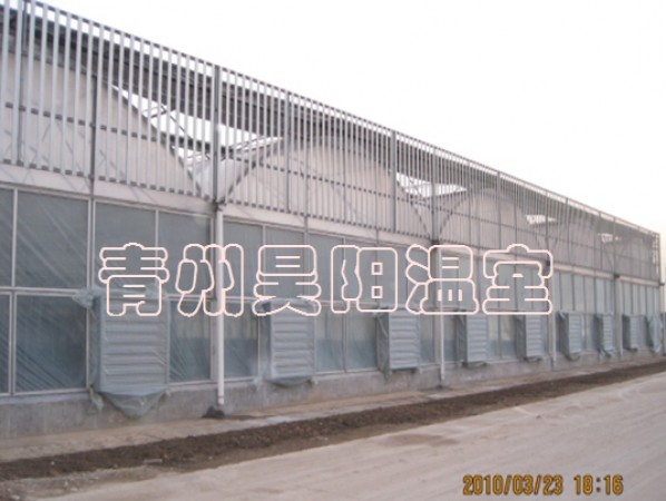 連棟溫室大棚