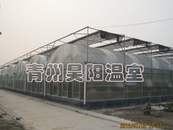 智能連棟膜溫室