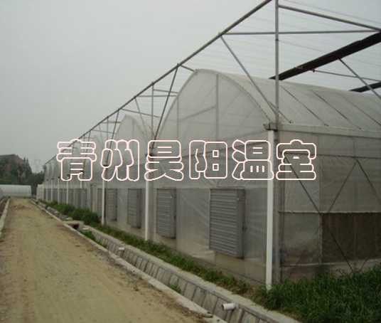 智能連棟膜溫室